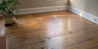 Photo of Randy's room